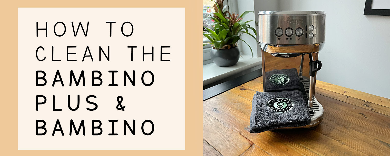 How to clean the Sage / Breville Bambino Plus and Bambino