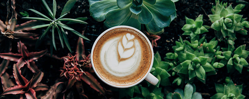 Making milky coffee without a steamer